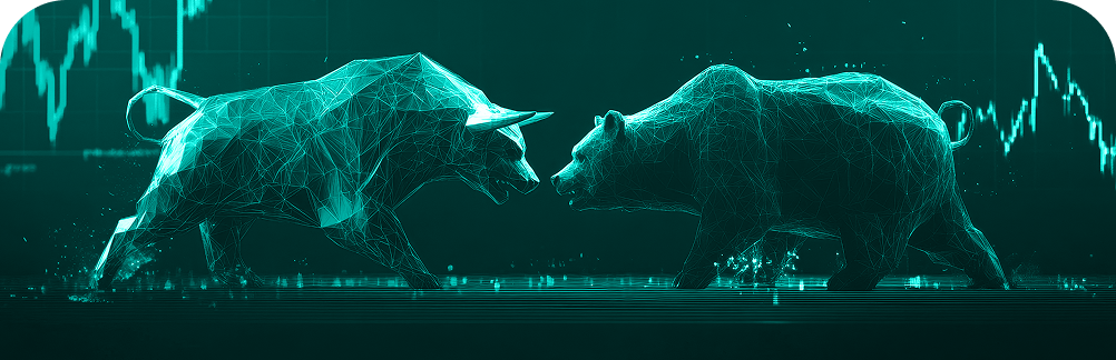 bull vs bear